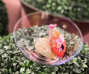 Coquette Event Cuisine